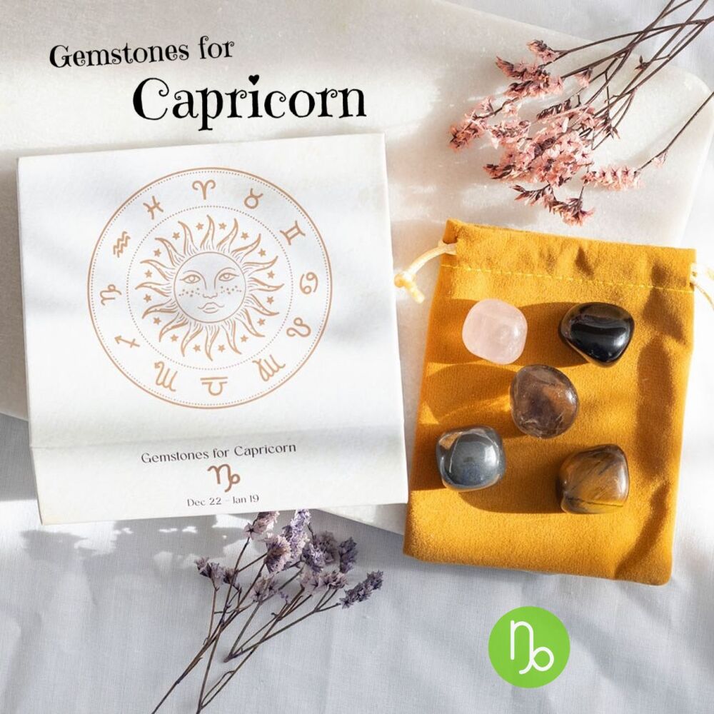 Capricorn Healing Crystal Tumblestones Gift Set