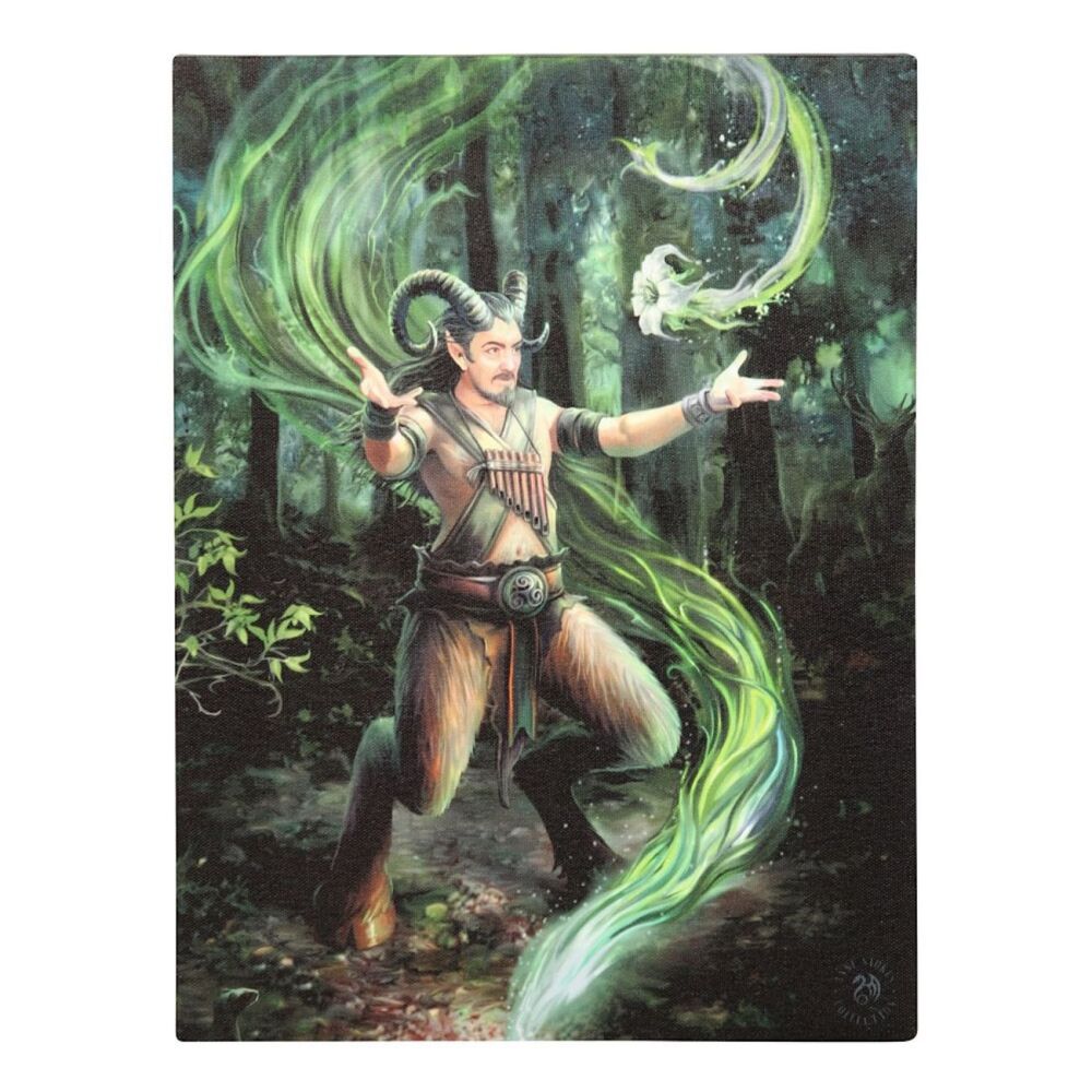 Earth Wizard Satyr Elemental Canvas Print by Anne Stokes 25cm x 19cm