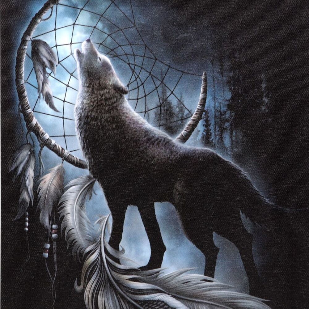 From Darkness Wolf Dreamcatcher Canvas Wall Print 25x19cm