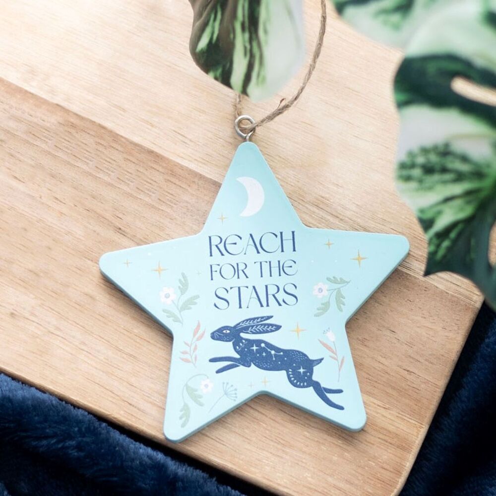 Reach for the Stars Hare Wall Hanging Decoration