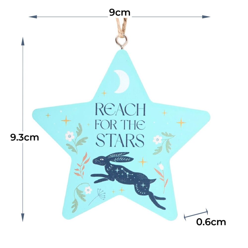 Reach for the Stars Hare Wall Hanging Decoration