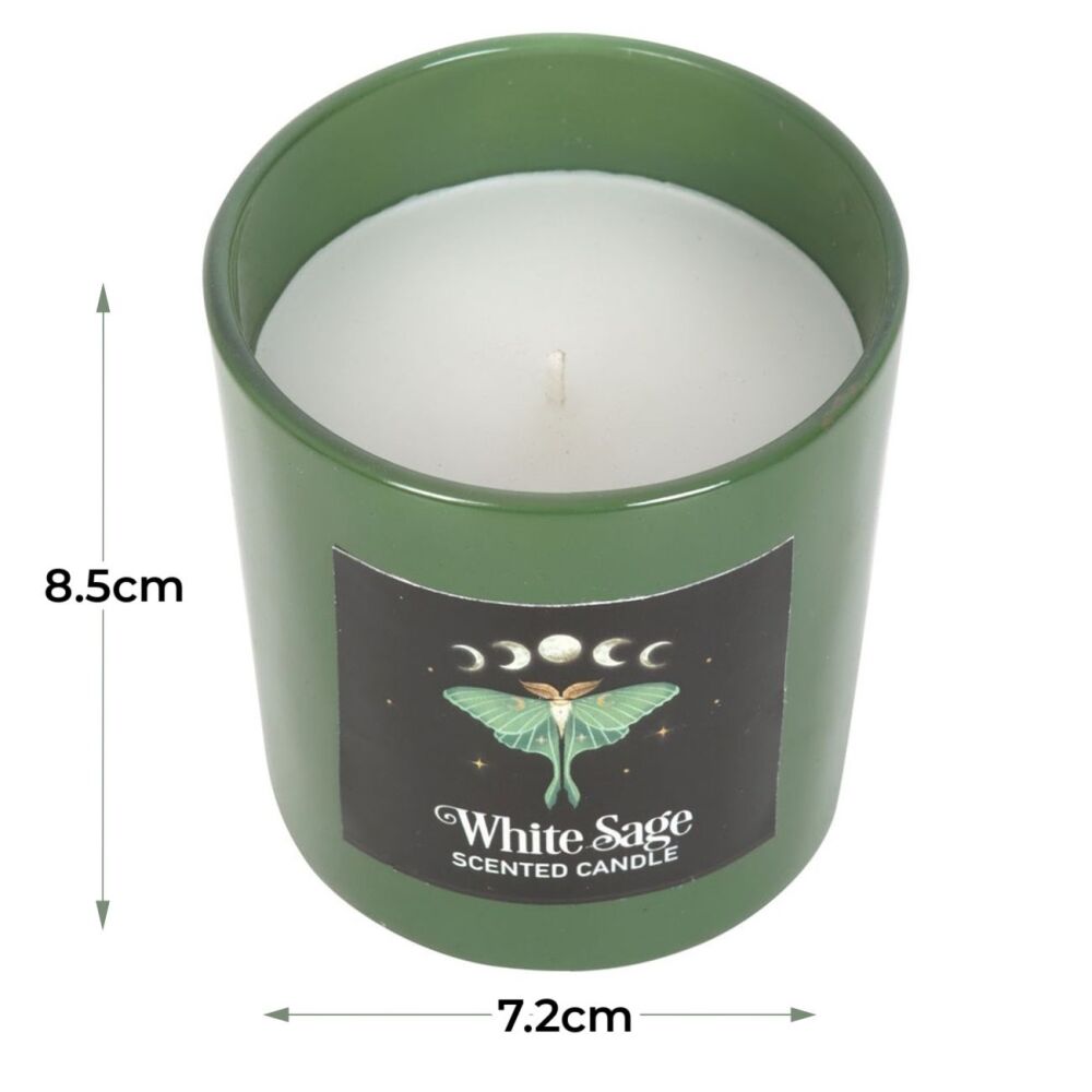 Luna Moth White Sage Candle