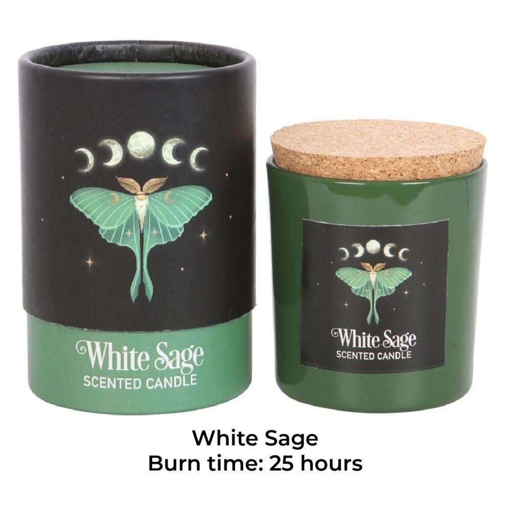 Luna Moth White Sage Candle