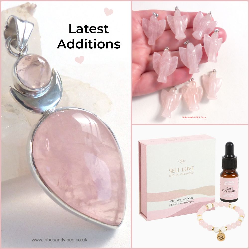 <!--02-->Latest Additions