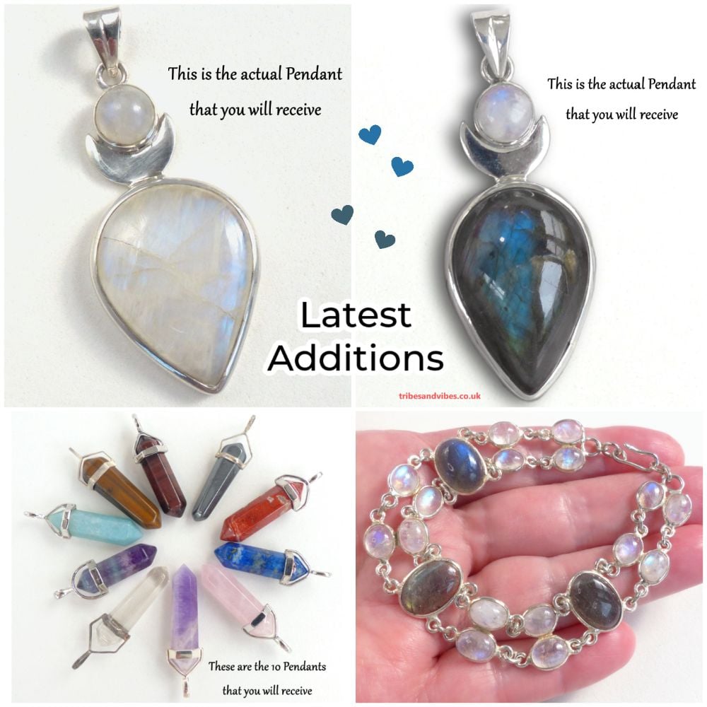 <!--02-->Latest Additions