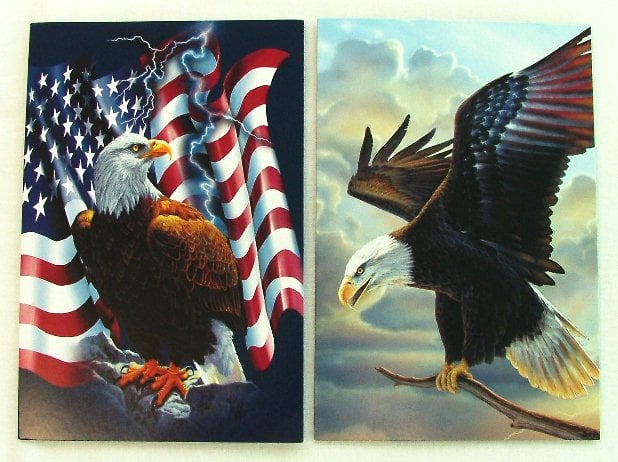 American Eagle Note Cards Envelopes Photo Tin