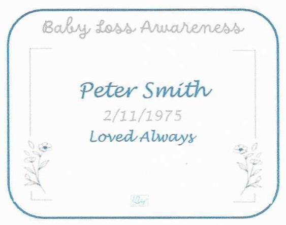 Babyloss 2025 - Blue
