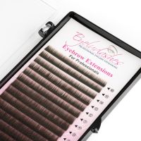 Eyebrow Extension Tray, Dark Brown, Mix Lengths 4-8mm
