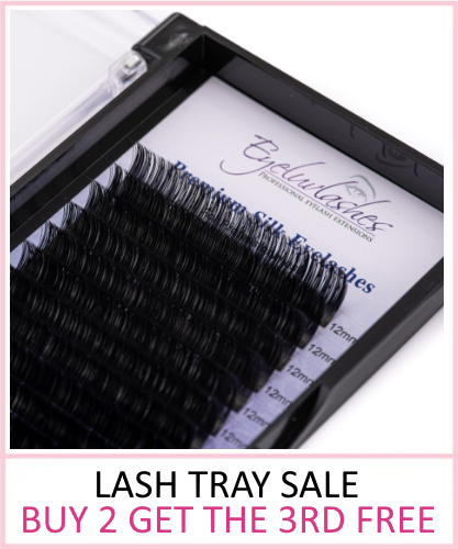 <!-- 00000001 -->Lash Tray Sale