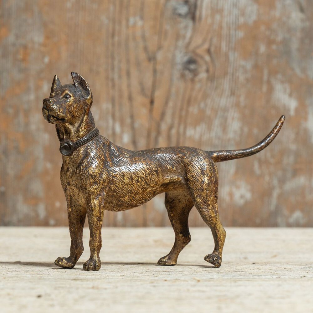 Cold painted bronze dog