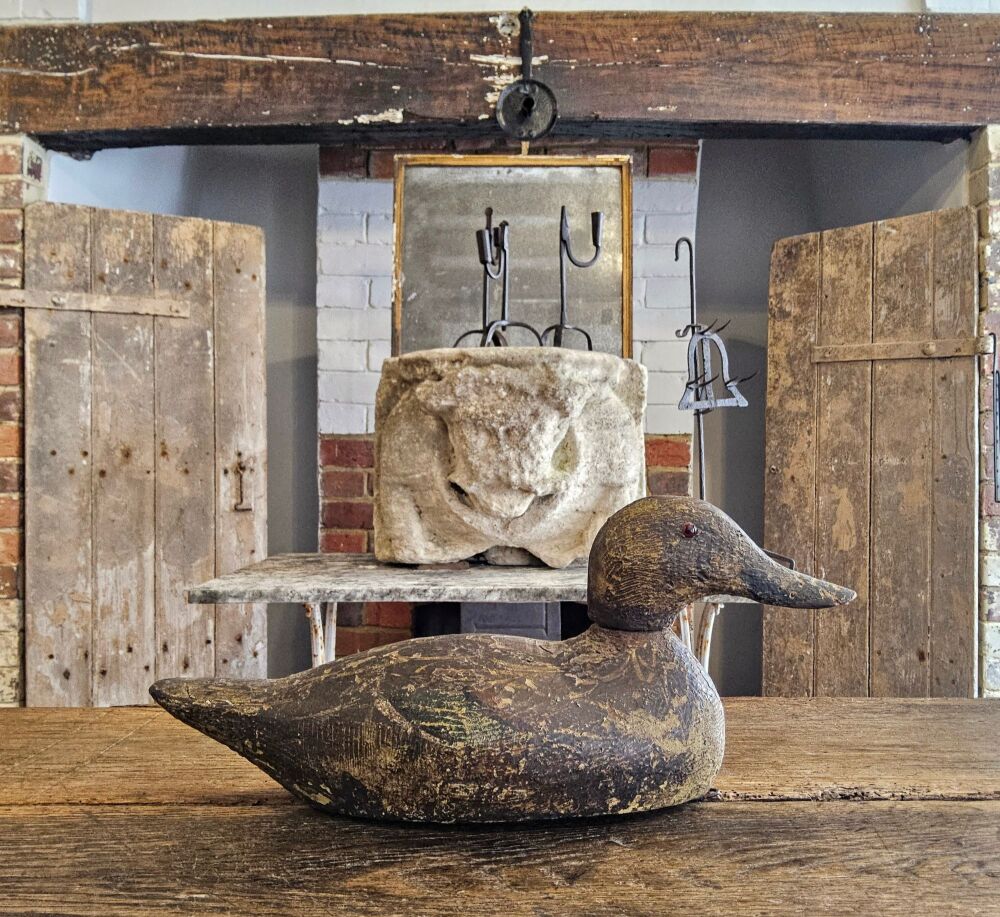 Decoy duck