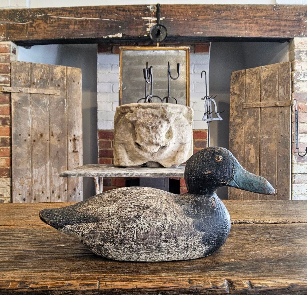 Decoy duck