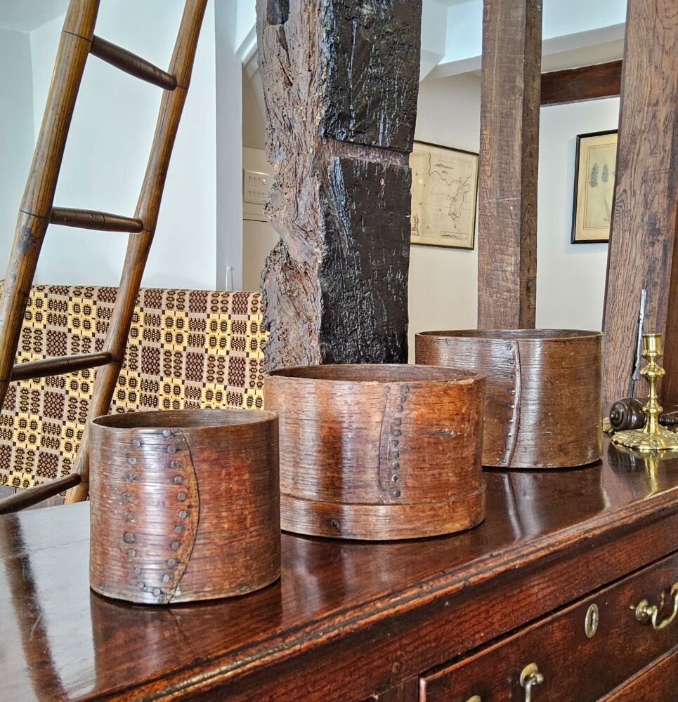 Treen measures