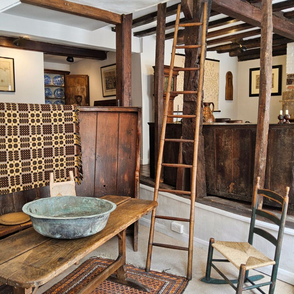 Library ladder