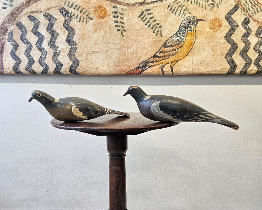 Harry Boddy decoy pigeons