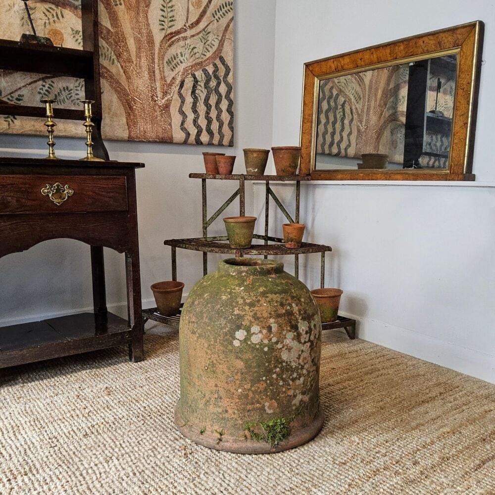 Large rhubarb forcer