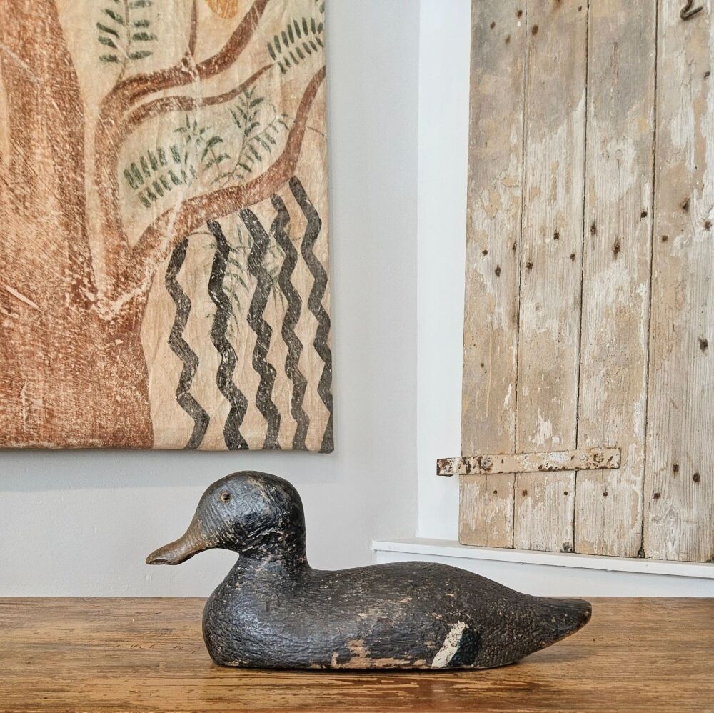 Decoy duck