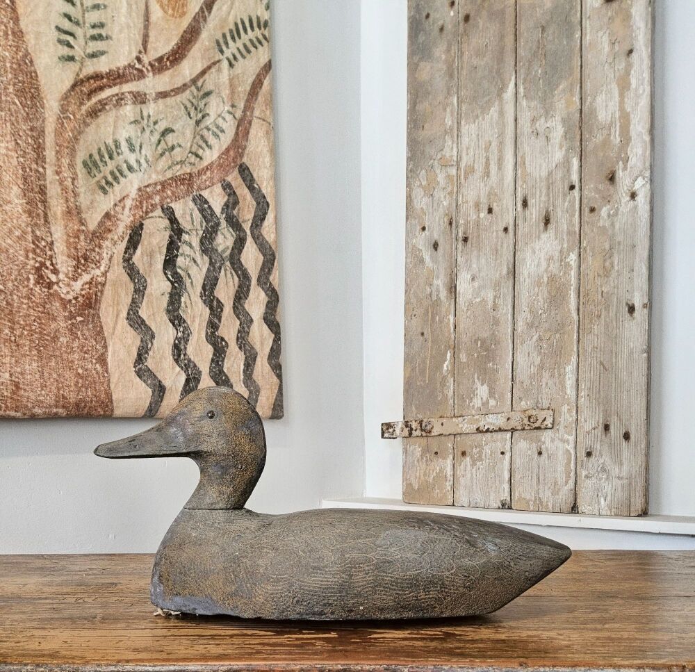 Decoy duck