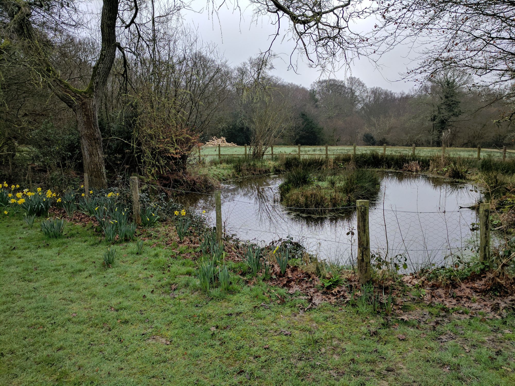 Pond 2