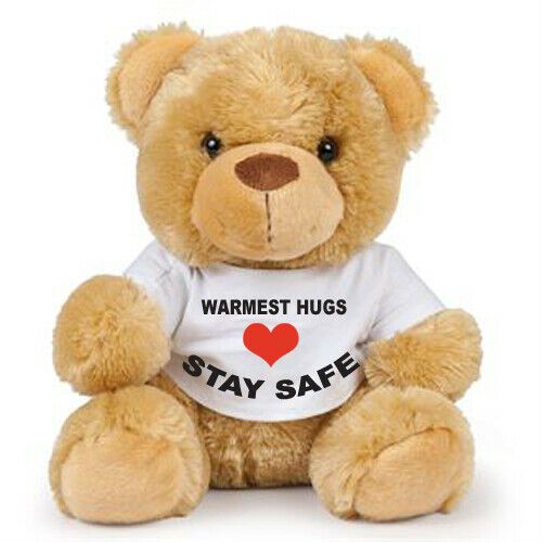 Teddy bear warmest hugs stay safe