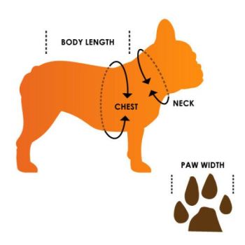 dog size chart diagram