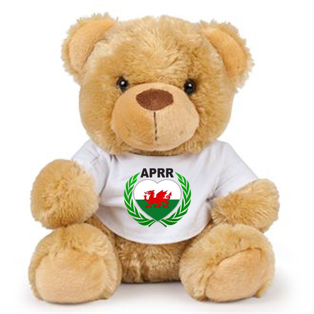 A - Aberdare Park Road Racing brown teddy bear