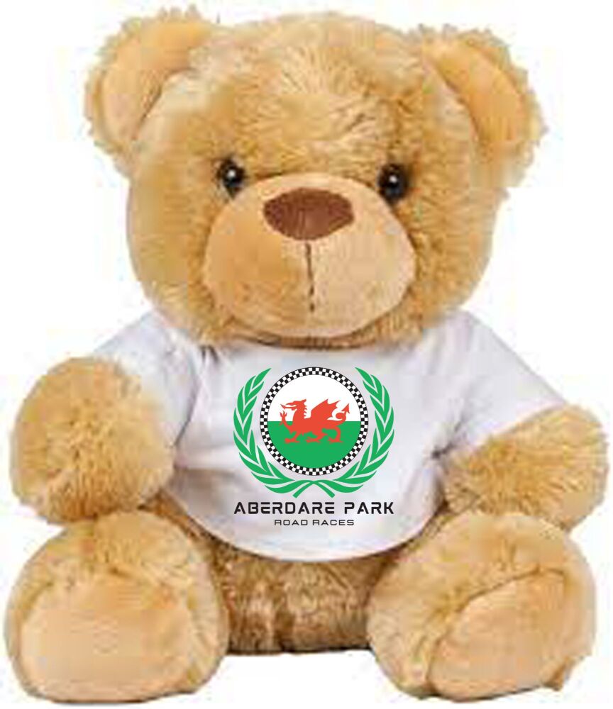 A - Aberdare Park Road Racing brown teddy bear 2024