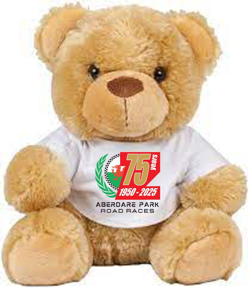 A - Aberdare Park Road Racing brown teddy bear 2025