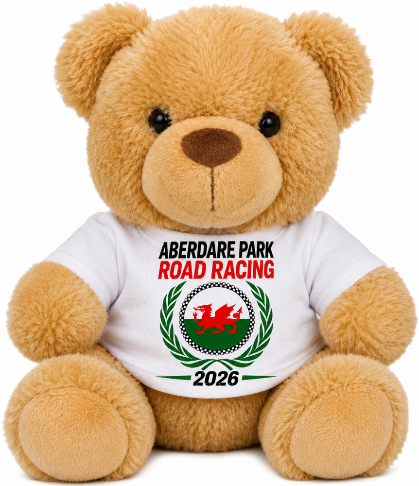 A - Aberdare Park Road Racing brown teddy bear 2026