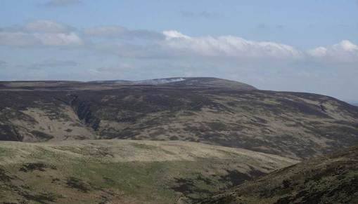 Grouse Moor