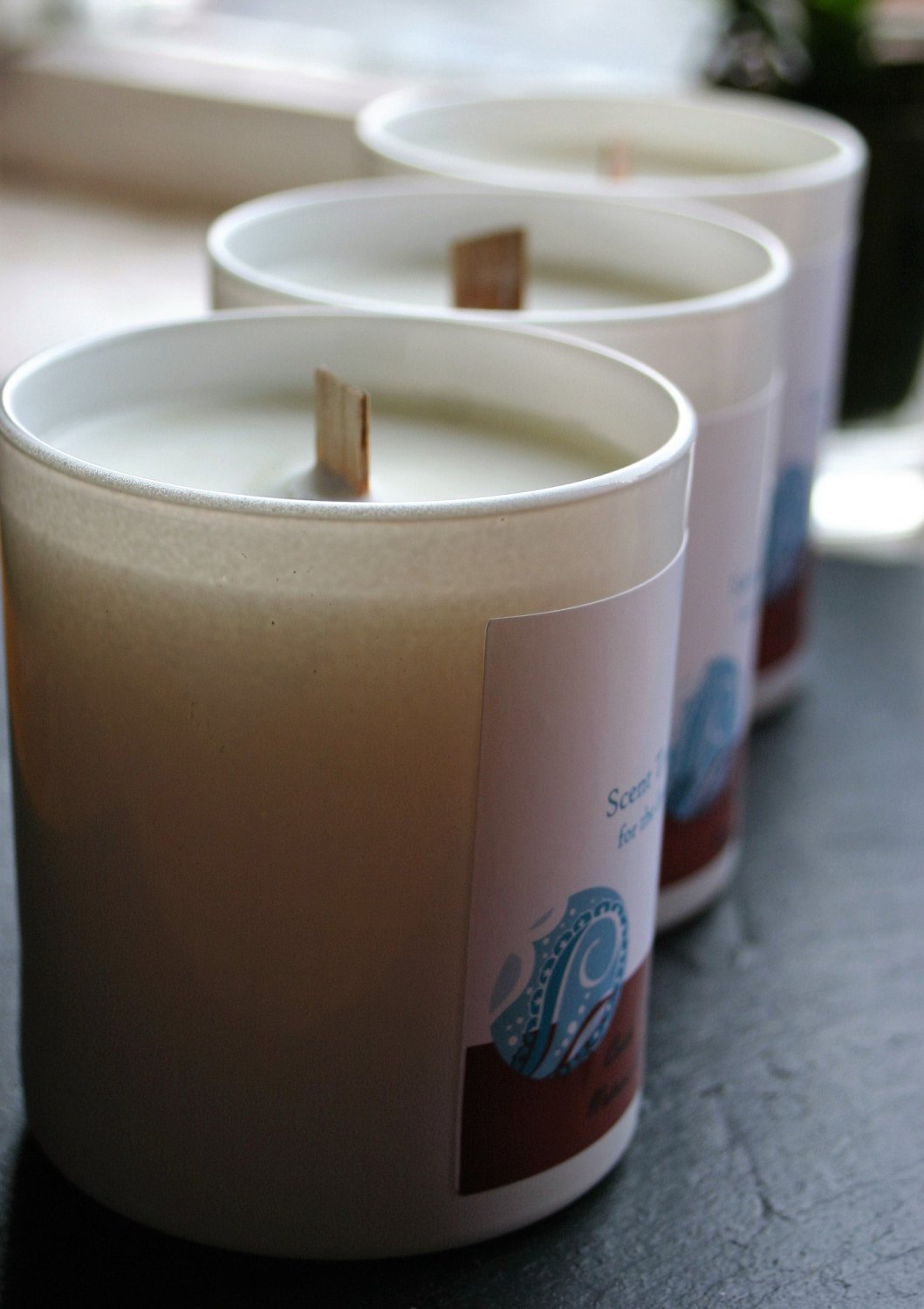 Cedar and Amrys Soy Wax Tumbler Candle