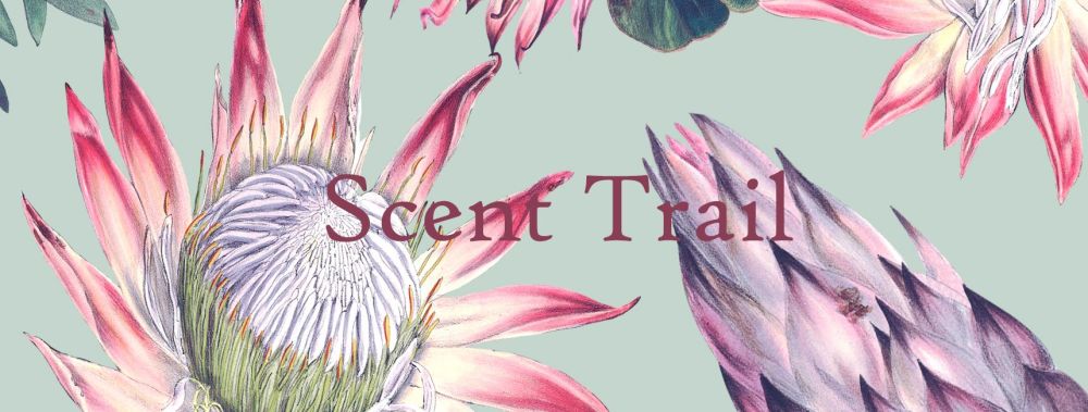 scent trail - palm free soap, skincare, candles