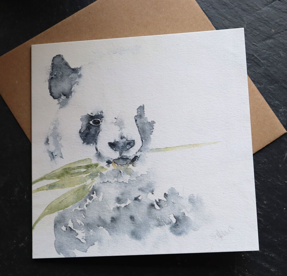 Panda Greetings Card