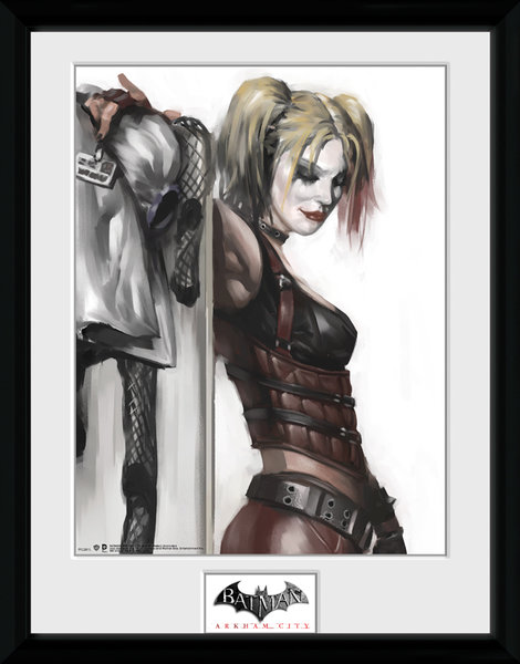 Framed Photographic > Collector Print   Batman Arkham City Harley Quinn 30x