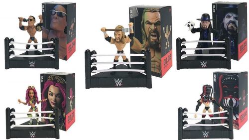 Loot Crate Exclusive WWE Slam Crate Slam set of 5