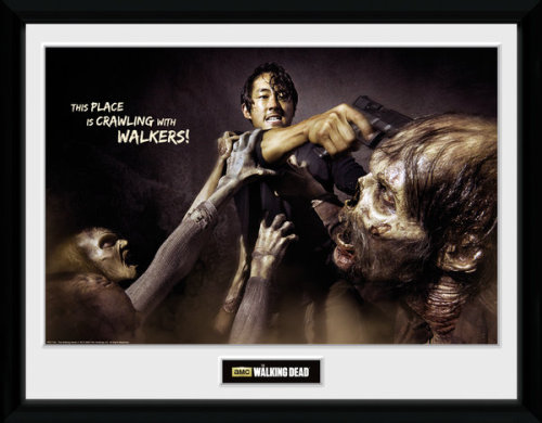 Framed Photographic > Collector Print The Walking Dead Glenn Attack 30x40