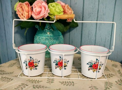 Fleurie herb pots with wire frame
