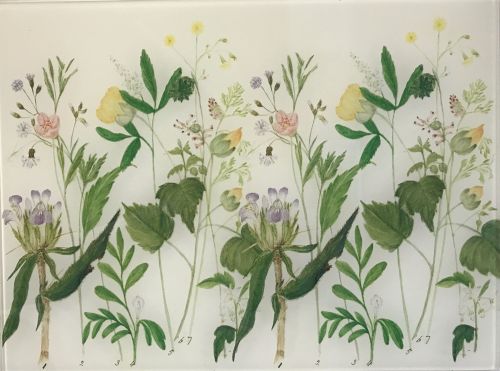 RHS Worktop Saver - Meadow Flowers