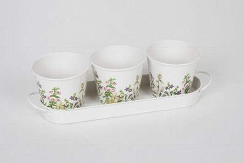 Set of 3 Herb Pots - Botanical - Royal Horticultural Society