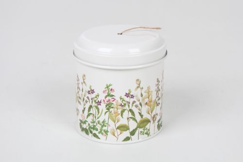 String in a Tin - Botanical - Royal Horticultural Society
