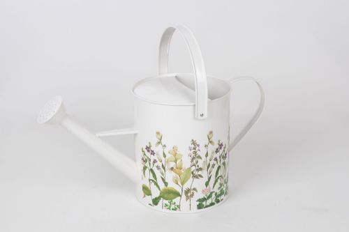 Large Watering Can - Botanical - Royal Horticultural Society