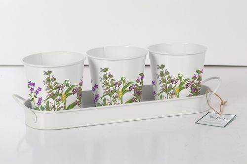 Set of 3 Herb Pots - Lavender