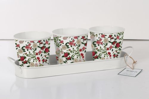 Set of 3 Herb Pots - Large Roses