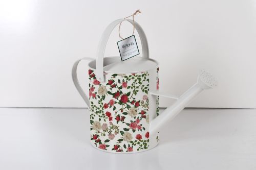 Large Watering Can Rose - Royal Horticultural Society