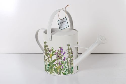 Large Watering Can Lavender- Royal Horticultural Society