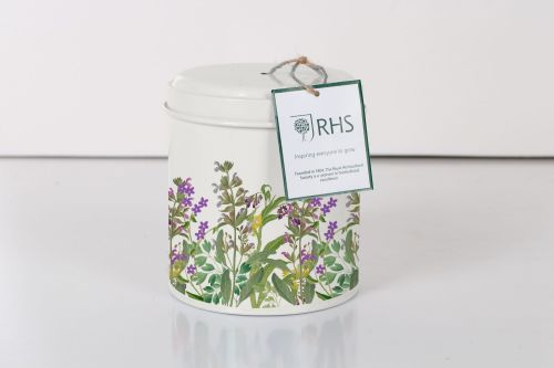 String in a Tin Lavender - Royal Horticultural Society 
