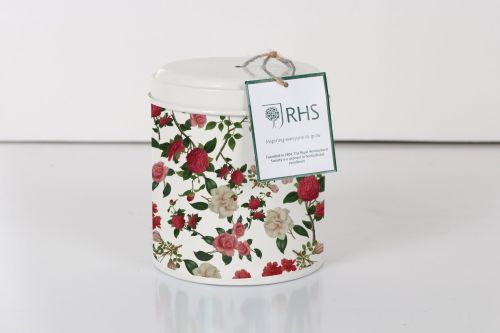 String in a Tin Large Roses - Royal Horticultural Society 