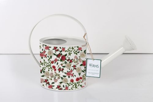 Oval Watering Can Roses - Royal Horticultural Society
