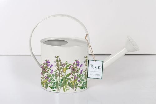 Oval Watering Can Lavender- Royal Horticultural Society