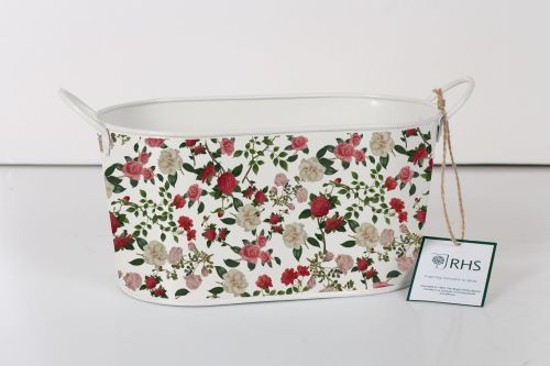 Oval Planter Roses- Royal Horticultural Society